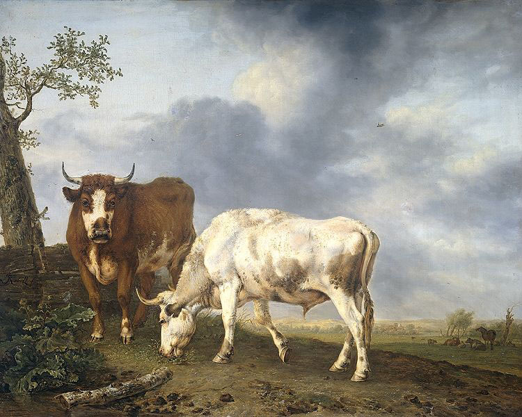 Oxen in the meadow